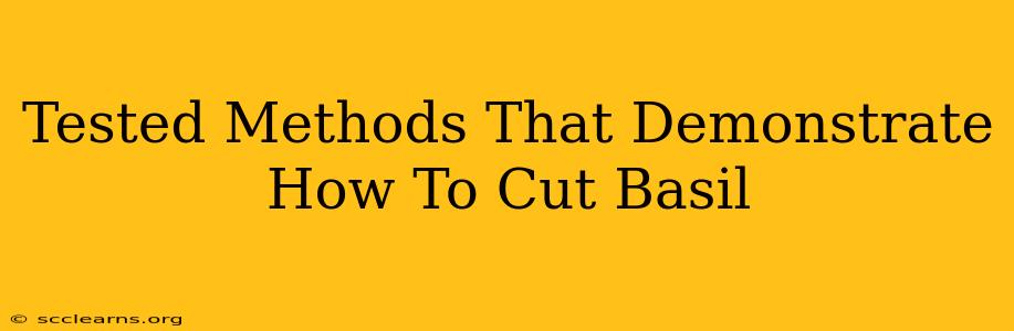 Tested Methods That Demonstrate How To Cut Basil