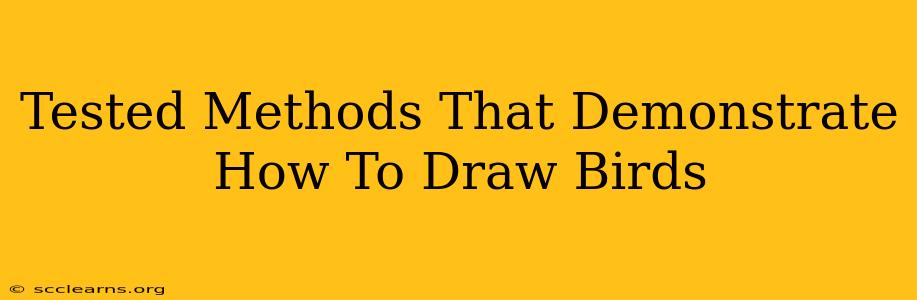 Tested Methods That Demonstrate How To Draw Birds