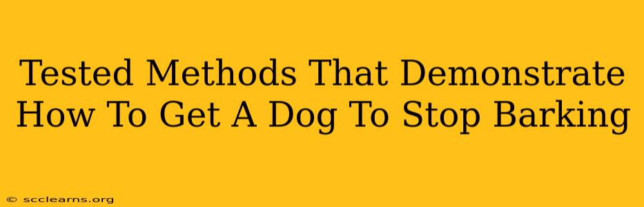 Tested Methods That Demonstrate How To Get A Dog To Stop Barking