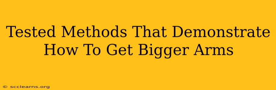 Tested Methods That Demonstrate How To Get Bigger Arms