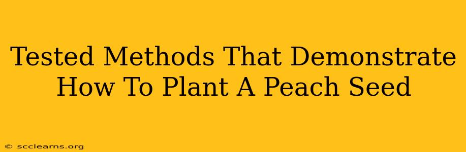 Tested Methods That Demonstrate How To Plant A Peach Seed