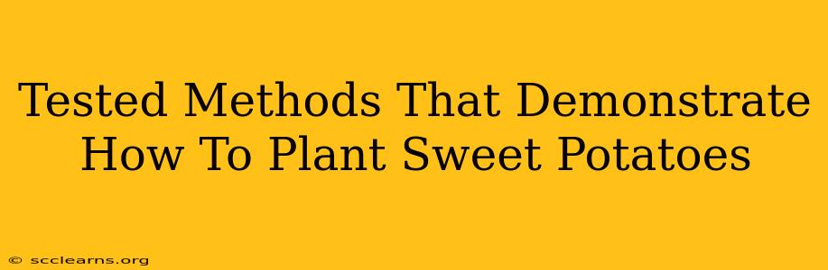 Tested Methods That Demonstrate How To Plant Sweet Potatoes