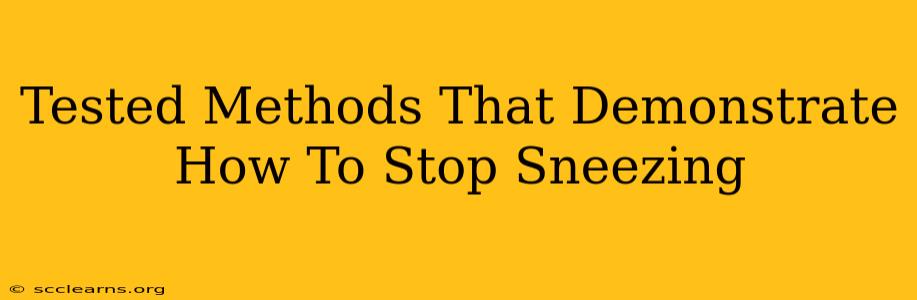 Tested Methods That Demonstrate How To Stop Sneezing