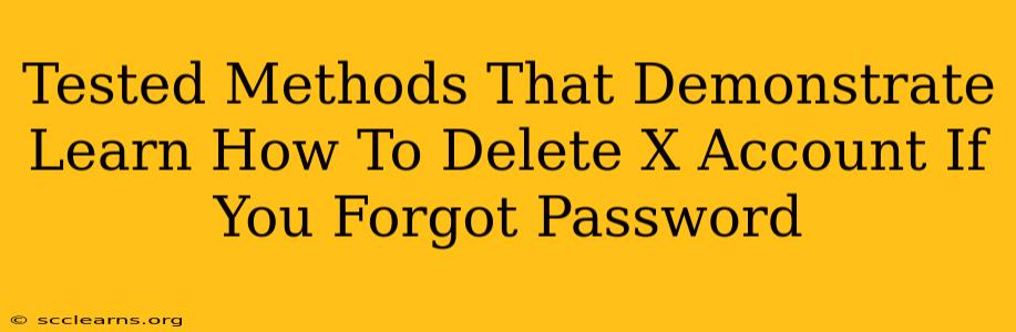 Tested Methods That Demonstrate Learn How To Delete X Account If You Forgot Password