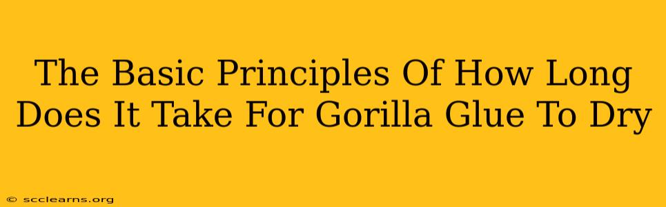 The Basic Principles Of How Long Does It Take For Gorilla Glue To Dry