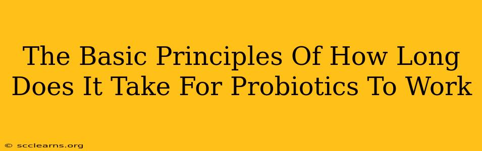 The Basic Principles Of How Long Does It Take For Probiotics To Work