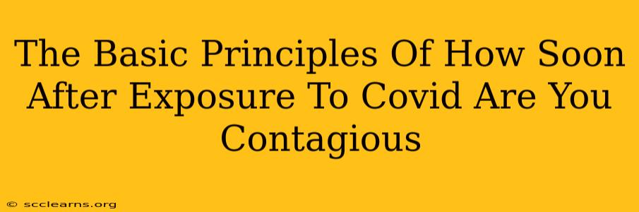 The Basic Principles Of How Soon After Exposure To Covid Are You Contagious