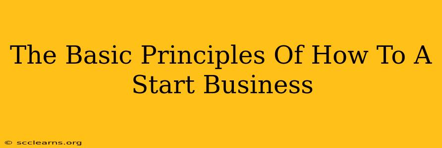 The Basic Principles Of How To A Start Business