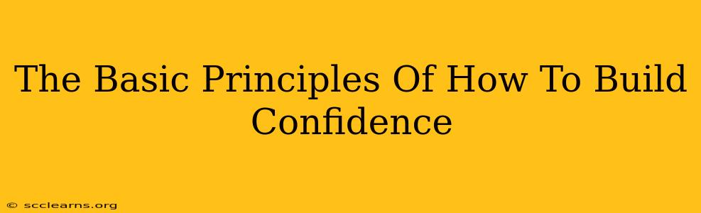 The Basic Principles Of How To Build Confidence