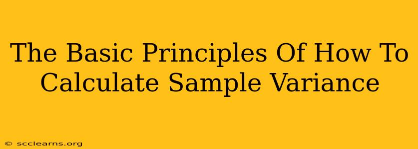 The Basic Principles Of How To Calculate Sample Variance