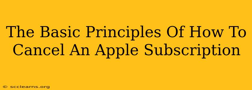 The Basic Principles Of How To Cancel An Apple Subscription