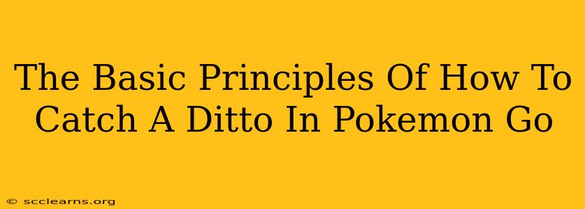 The Basic Principles Of How To Catch A Ditto In Pokemon Go