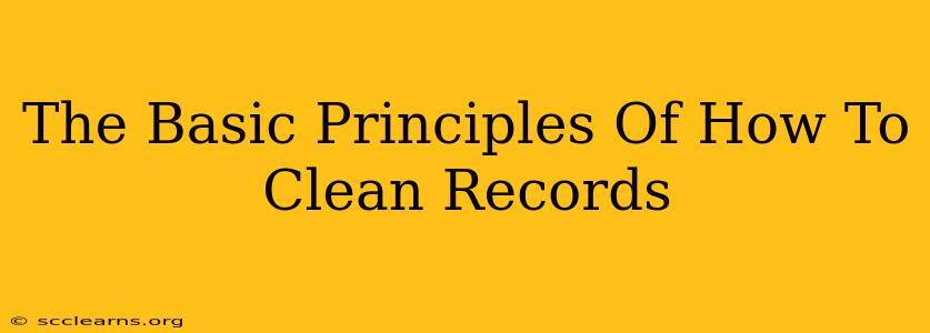 The Basic Principles Of How To Clean Records