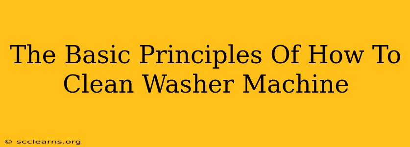 The Basic Principles Of How To Clean Washer Machine