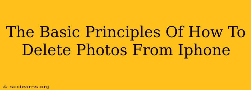 The Basic Principles Of How To Delete Photos From Iphone