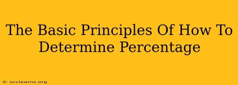 The Basic Principles Of How To Determine Percentage