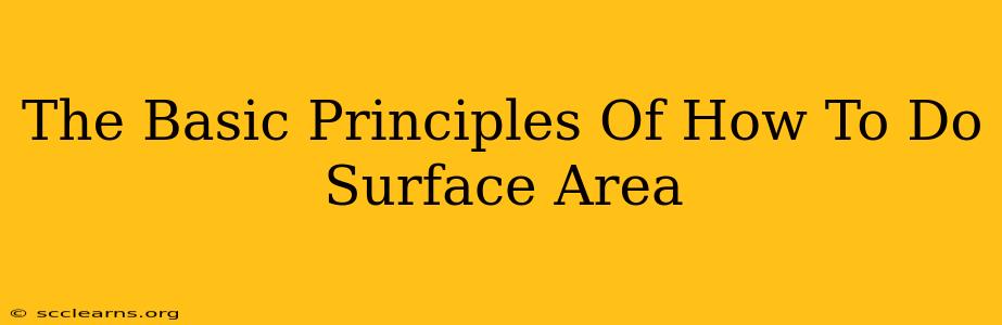 The Basic Principles Of How To Do Surface Area