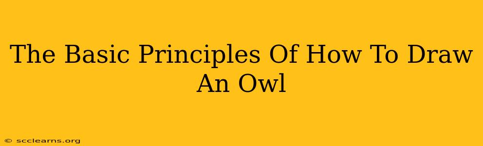 The Basic Principles Of How To Draw An Owl