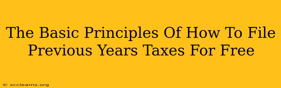 The Basic Principles Of How To File Previous Years Taxes For Free