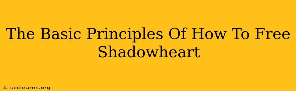 The Basic Principles Of How To Free Shadowheart