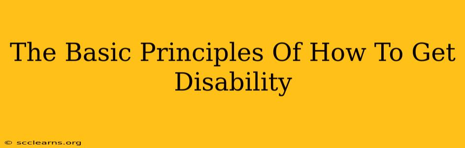 The Basic Principles Of How To Get Disability