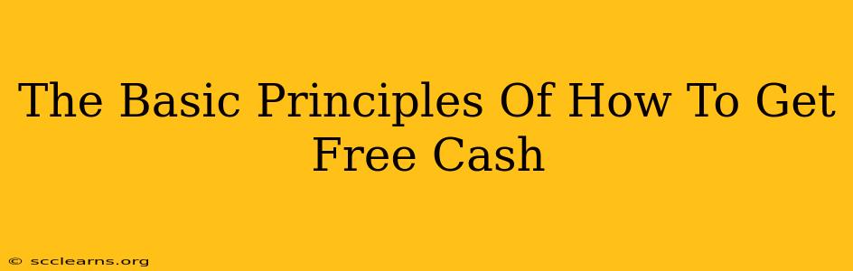 The Basic Principles Of How To Get Free Cash