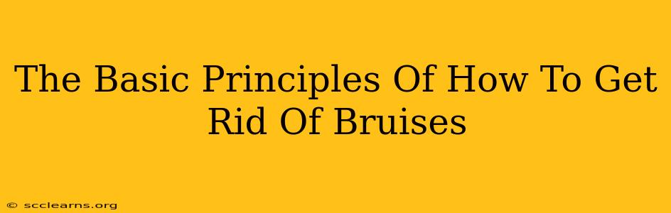 The Basic Principles Of How To Get Rid Of Bruises