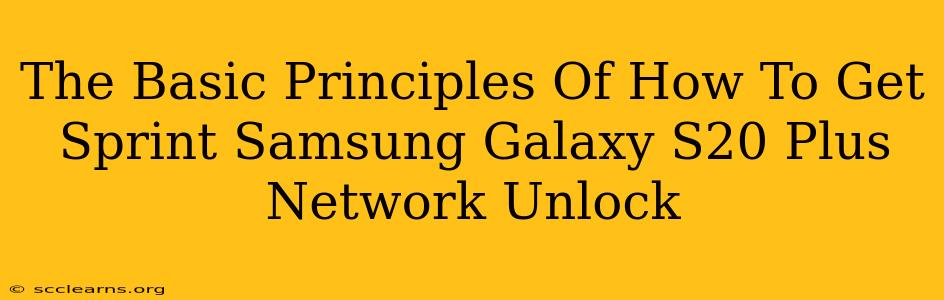 The Basic Principles Of How To Get Sprint Samsung Galaxy S20 Plus Network Unlock