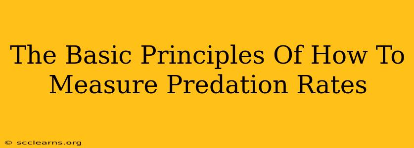 The Basic Principles Of How To Measure Predation Rates