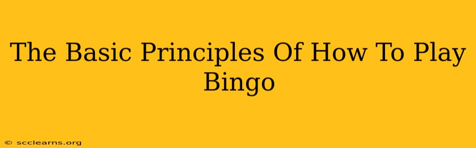 The Basic Principles Of How To Play Bingo