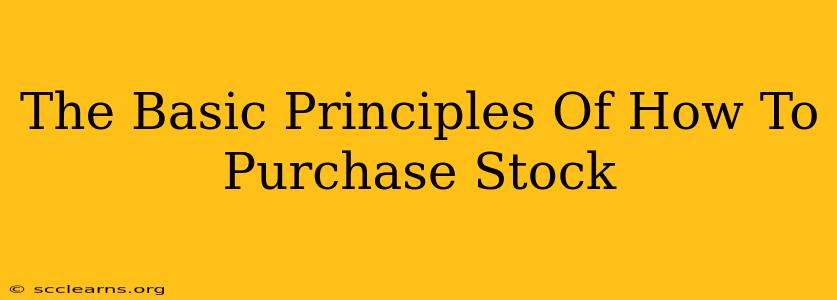 The Basic Principles Of How To Purchase Stock