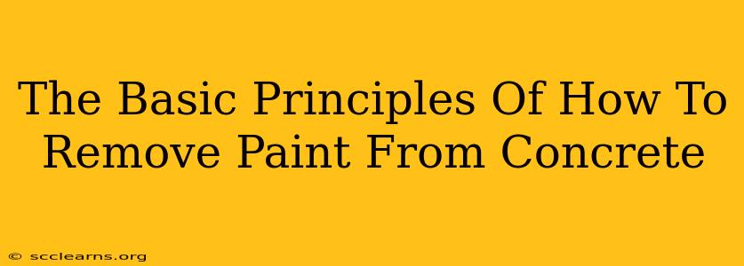 The Basic Principles Of How To Remove Paint From Concrete