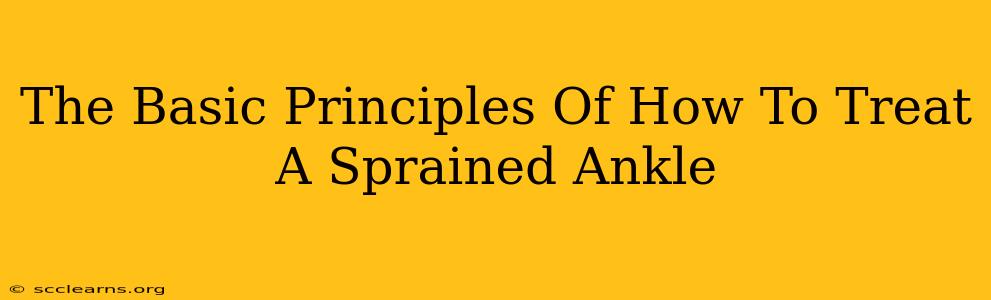 The Basic Principles Of How To Treat A Sprained Ankle