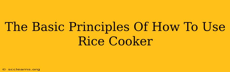 The Basic Principles Of How To Use Rice Cooker