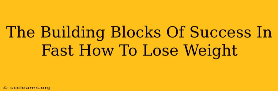 The Building Blocks Of Success In Fast How To Lose Weight