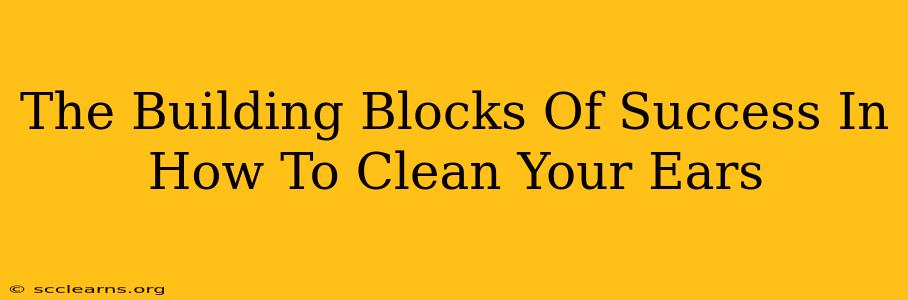 The Building Blocks Of Success In How To Clean Your Ears