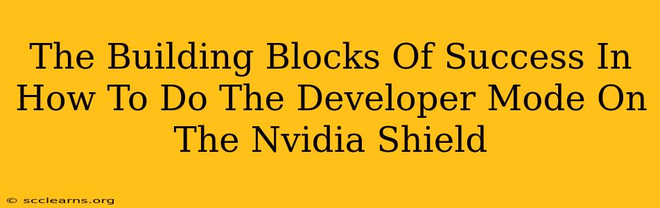 The Building Blocks Of Success In How To Do The Developer Mode On The Nvidia Shield