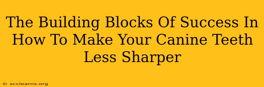 The Building Blocks Of Success In How To Make Your Canine Teeth Less Sharper