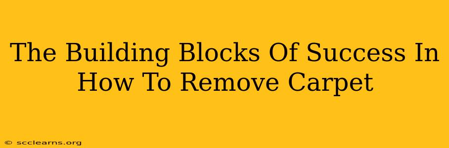 The Building Blocks Of Success In How To Remove Carpet