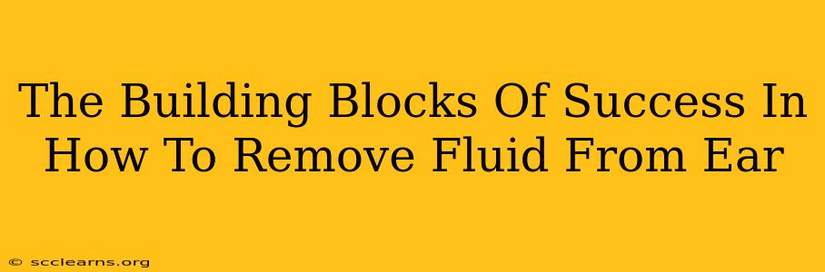 The Building Blocks Of Success In How To Remove Fluid From Ear