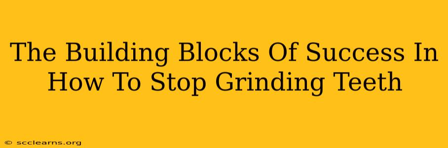 The Building Blocks Of Success In How To Stop Grinding Teeth