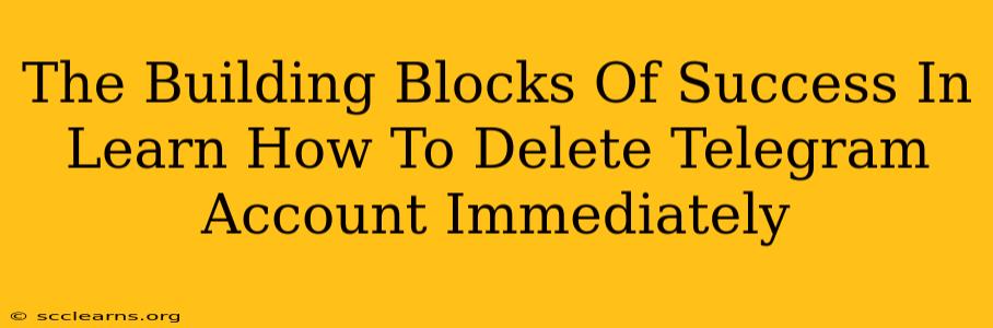 The Building Blocks Of Success In Learn How To Delete Telegram Account Immediately