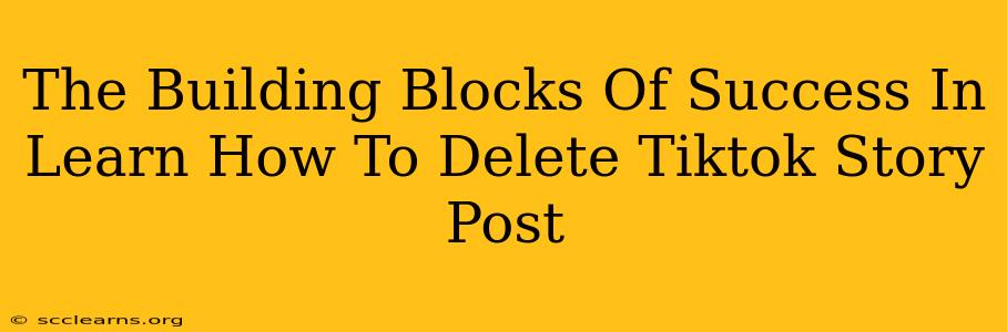 The Building Blocks Of Success In Learn How To Delete Tiktok Story Post