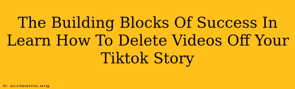 The Building Blocks Of Success In Learn How To Delete Videos Off Your Tiktok Story