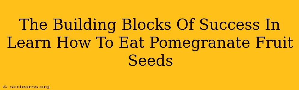 The Building Blocks Of Success In Learn How To Eat Pomegranate Fruit Seeds