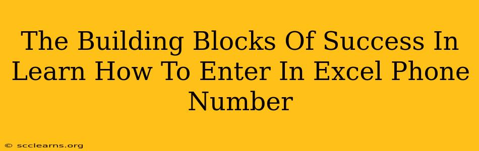 The Building Blocks Of Success In Learn How To Enter In Excel Phone Number