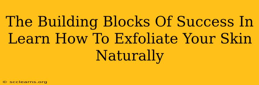 The Building Blocks Of Success In Learn How To Exfoliate Your Skin Naturally