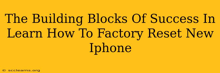 The Building Blocks Of Success In Learn How To Factory Reset New Iphone