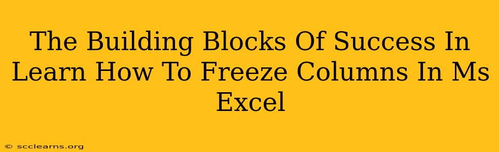 The Building Blocks Of Success In Learn How To Freeze Columns In Ms Excel