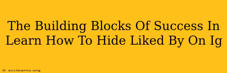 The Building Blocks Of Success In Learn How To Hide Liked By On Ig